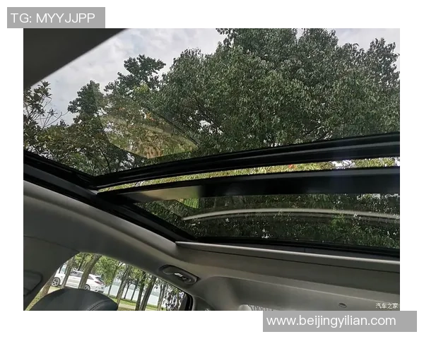 武汉网球队在世锦赛中的团队协作展现出色值得赞赏与反思