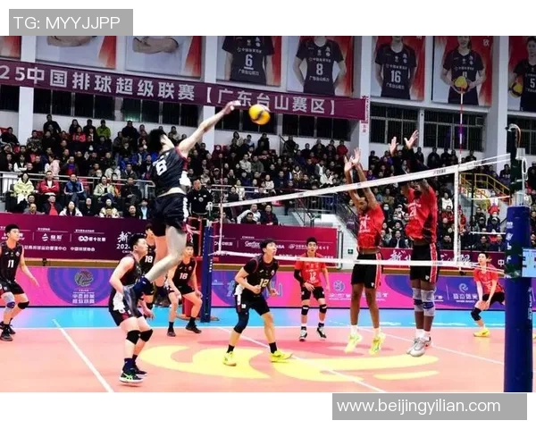 深圳排球队配合变革引发热议新战术助力球队崛起